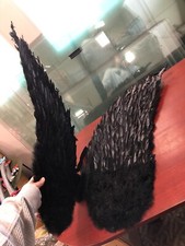 Touch of Nature Black Adult Angel Wings - 52" by 36" No Halo