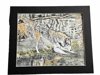 Mark Leary Wolf Kunst Aquarell Gemälde Wölfe nehmen etwas Wasser auf