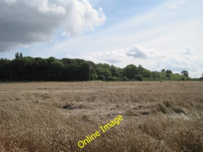 Photo 6x4 Woodland, Pex Hill Cronton Looking over a field of ripe grain t c2014