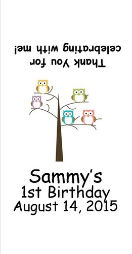 30 etiquetas de pepita Hershey personalizadas de búho - cumpleaños - baby shower - cualquier ocasión - Imagen 9 de 11