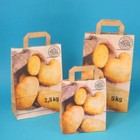 250 Papiertragetaschen Kartoffeltüten Papiertüten f. Kartoffeln "aus der Region"