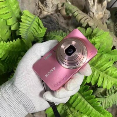 SONY Cyber-shot DSC-W570 16.1MP 5x Optical Zoom Digital Camera