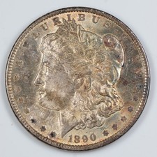  on The Hot Collector