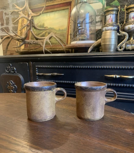 Set Of 2 Vintage McCoy Canyon Mesa Coffee Mugs
