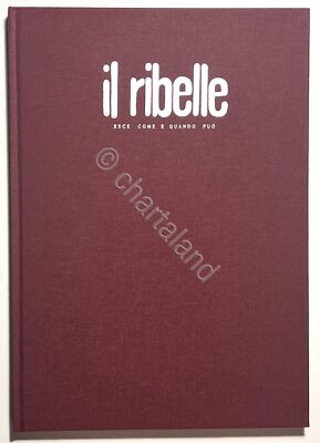 Il Rebel. Raus wie und wann kann - Aufl. 2005