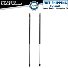 Hood Lift Support Set For 2016-2018 Lincoln MKX 2019-2021 Nautilus