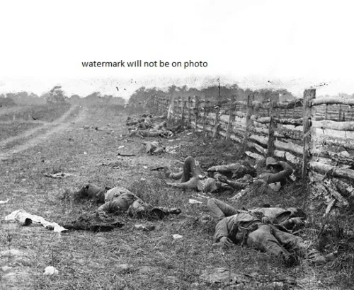 Dead Confederate Soldiers Battle of Antietam 8"x 10" Civil War Photo Picture 107
