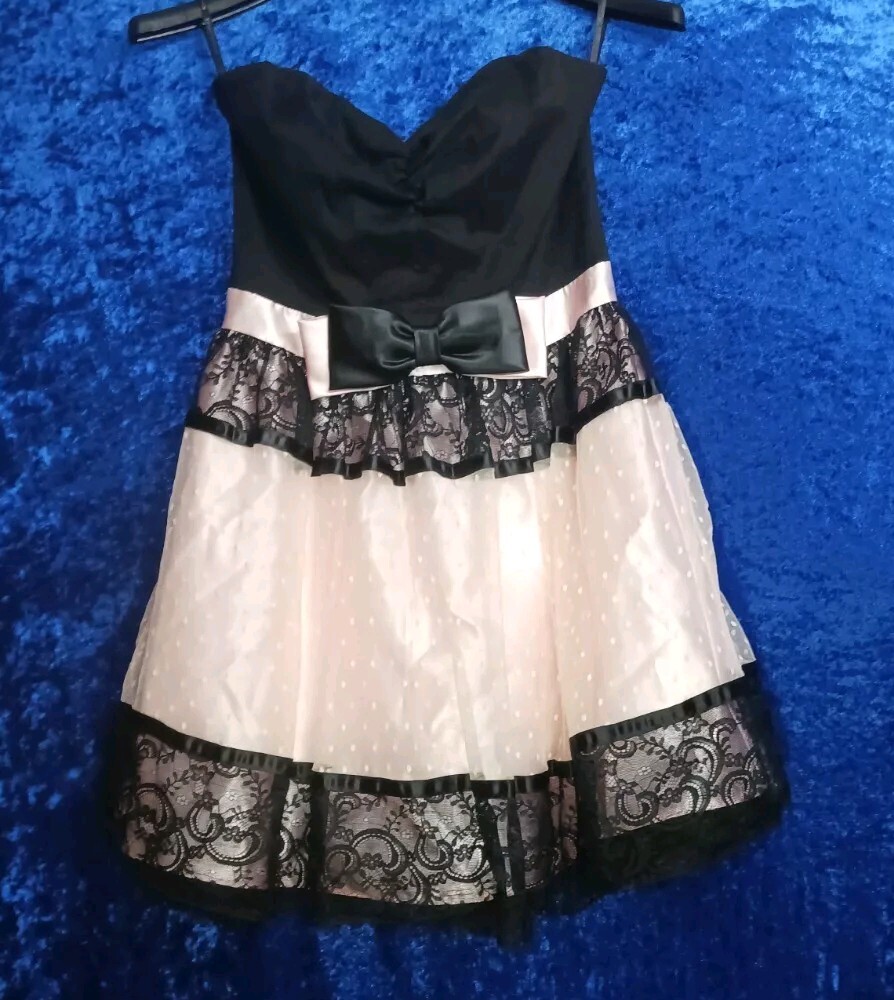 pastel pink and black dress Blush Fancy Dress