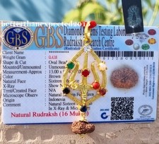 16 Mukhi Rudraksha / Sixteen Face Rudraksh Java Bead Shiva Trishul Pendant--Lab