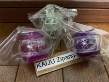 2025 Kamen Rider Zeztz Model Toy DX Rider Capsem Set 03