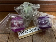 2025 Kamen Rider Zeztz Model Toy DX Rider Capsem Set 03