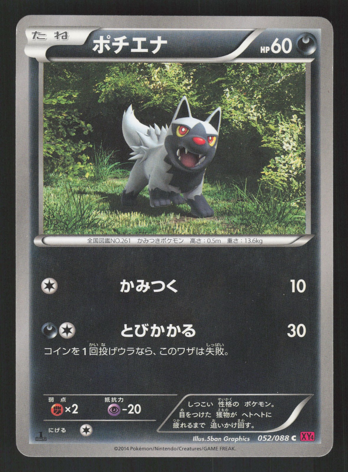 Poochyena 052/088 Japanese,1st Edition Pokemon XY4 Phantom Gate