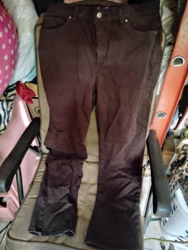 A Nice Pair Of Brown Jean Women's Pants