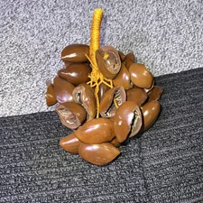 Seed Pods Shaker Rattle Percussion Instrument Music Sound Healing Drum Circle