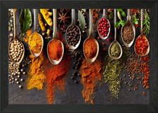 Herbs and Spices 5 Framed Wall Art Poster Canvas Print Picture