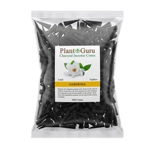 400 Jumbo Charcoal Incense Cones 2" TOPFLOW Bulk For Burner Holder Variety Lot