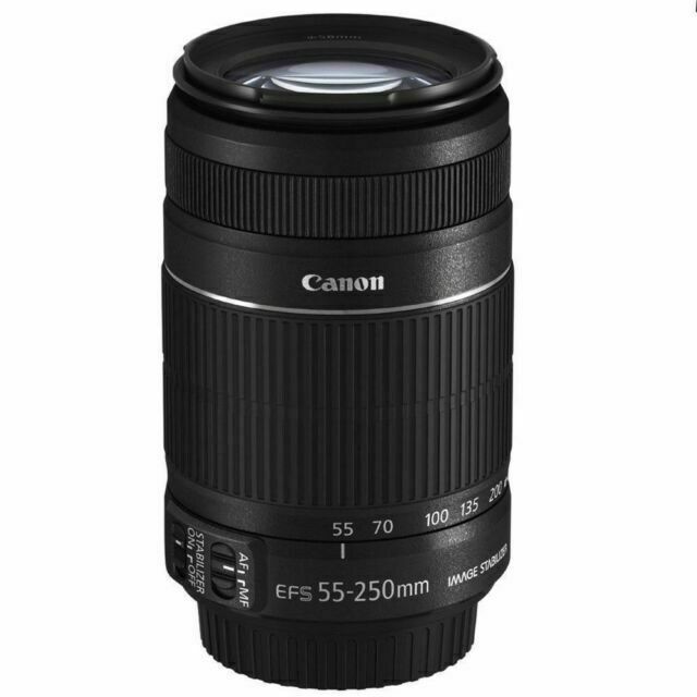 Canon Ef S 55 250mm F 4 0 5 6 Ii Is Lens For Sale Online Ebay