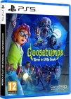 Goosebumps Terror In Little Creek Sony Playstation 5 PS5 Game