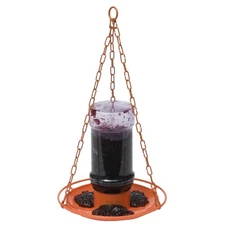 253 Wild Oriole Jelly Bird Feeder - 32 Ounce Feeder Capacity
