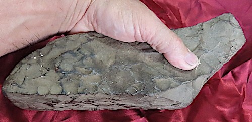 ANCIENT, ANTIQUE, MONSTER 8 POUND HAWAIIAN STONE ADZE, ADZES - Picture 14 of 15