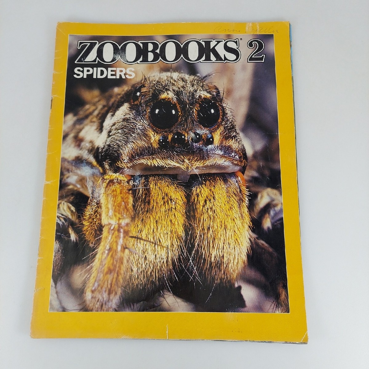 猫Spitz OFFICIAL DATA BOOK 1987~2007 51pUAbnYZYL._AC_SY200_QL15_.jpg
