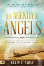 The Agenda of Angels: What the Holy Ones Want You to Know About the Next Move of