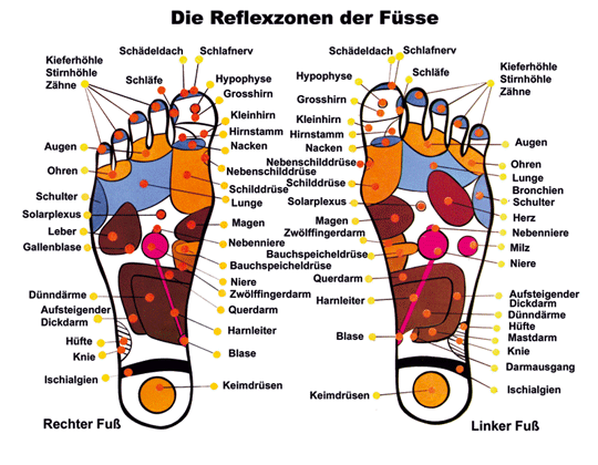 Bild 7 von 42