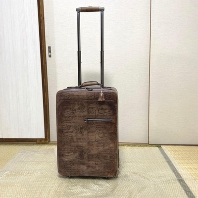 Berluti Berluti carry case suitcase travel bag | eBay