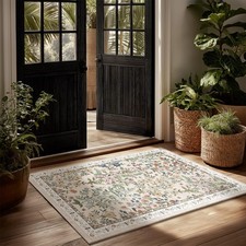 Machine Washable Area Rugs for Entryway: Door Mat Indoor Entrance 2X3 Small Thro