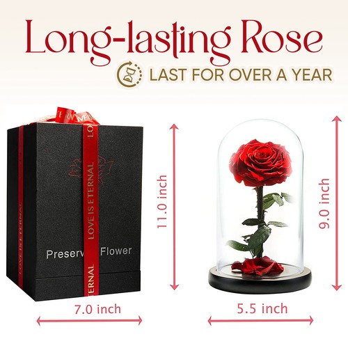 LOVAPPY Eternal Enchanted Forever Preserved Rose - Infinity Rose in Glass Dome - - Picture 3 of 8