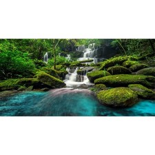 AWERT 36x18 inches Waterfall Terrarium Background Tropical Rainforest Aquariu...