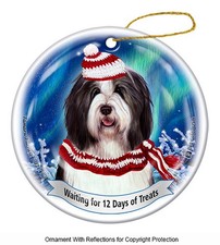 Bearded Collie Northern Lights Twelve Days of Treats Holiday Ornament