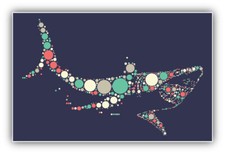 Shark Shape Color Point Car Bumper Sticker Decal