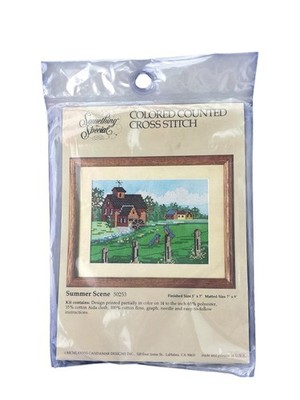 Something Special Summer Scene Colored Counted XS Kit 5''x7'' 50253 14ct Aida