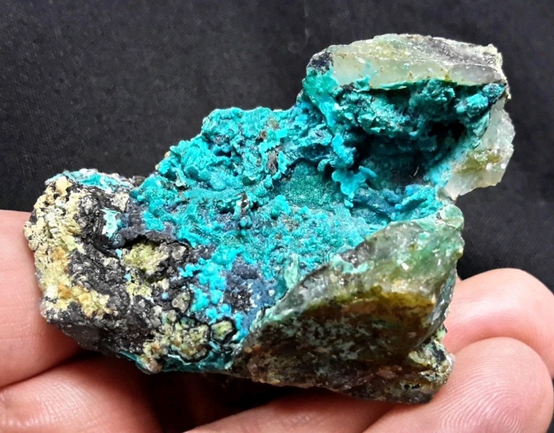 2.25" CHRYSOCOLLA on QUARTZ from the Tentadora Mine, Huancavelica, Peru