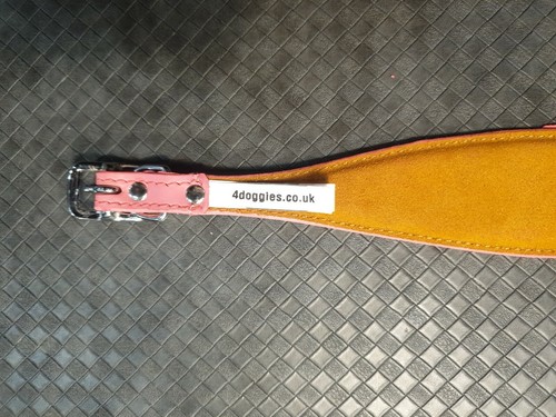 LEATHER WHIPPET DOG COLLAR SUEDE BACKING PADDED 12-14 INCH SAMPLE A47 - Picture 8 of 8