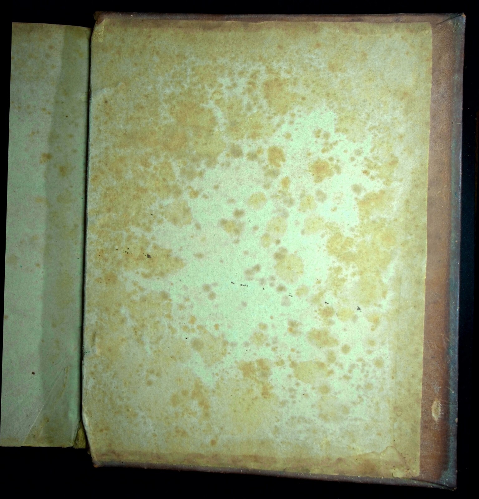 Picture 8 of 10