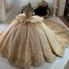 Shiny Champagne Quinceanera Dresses Ball Gown Floral Applique Beading Sweet 16