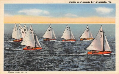 Sail Boating Scene  On The Blue Waters Pensacola Bay, FL Vtg 1940's  Postcard