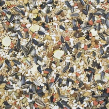 Higgins Vita Seed COCKATIEL Food Pet *USA* Fruit Blend Nut FRESH Bird Parrot