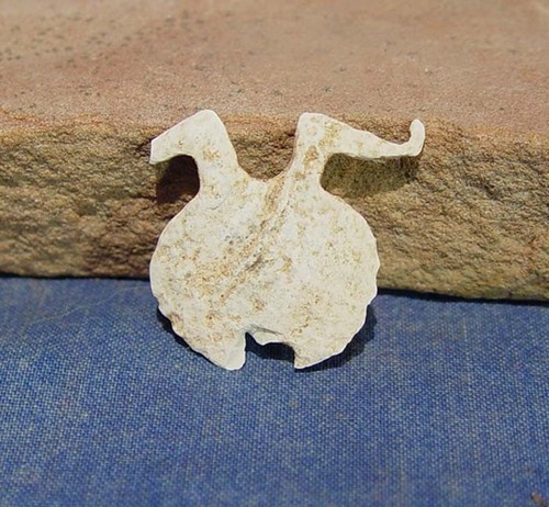 Hohokam Frog Effigy Fetish Pendant ca. 1000 - 1300 AD 1.0625" H x 1.125" W