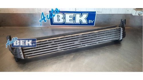 Ladeluftkühler VW Polo V 6R, 6C 6R0145805 P16789581