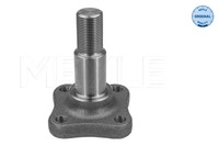 Nabe Zapfen Dacia T. Logan 04-/SANDERO 08-
