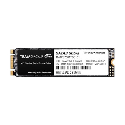 Team 1TB MS30 M.2 SATA Interne SSD (TM8PS7001T0C101)