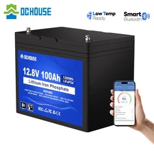 12V 100Ah LiFePO4 Lithium Battery Bluetooth monitoring For RV Solar Marine