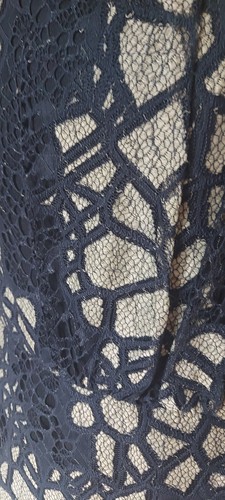 Joe Browns Sukienka Black Beige Overlay Lace Effect Dress Size 16 Uk BNWOT - Picture 2 of 13