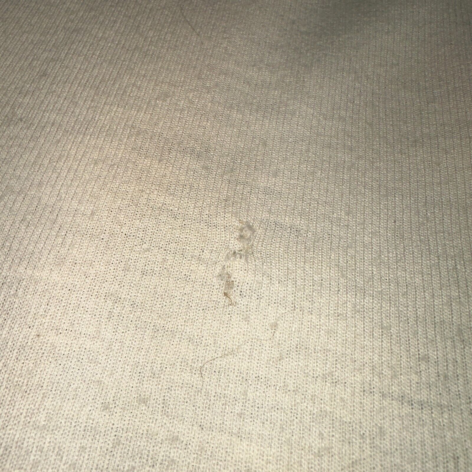 Picture 14 of 15