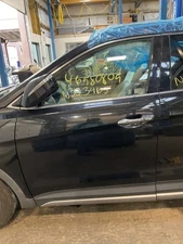 Driver Left Front Door LWB Fits 13-19 SANTA FE 1947115