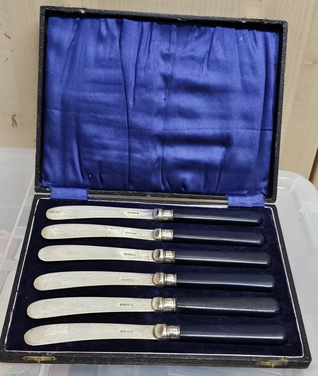 6 x Vintage EPNS Butter Knives With Blue Handles with Case eBay