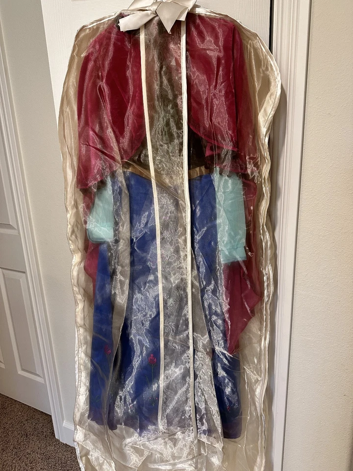 Disfraz de Anna Talla 10 Traje de Viaje con Capa Persiguiendo Luciérnagas Disney Frozen Foto 2 de 4